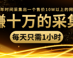 年赚十万的采集站，每天却只需要1小时，一年时间采集出一个售价10W以上的网站-晟哥学社资源库