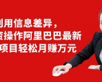 利用信息差异,零投资操作阿里巴巴最新管道项目轻松月赚10000+-晟哥学社资源库