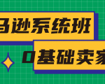 亚马逊系统班，专为0基础卖家量身打造，亚马逊运营流程与架构-晟哥学社资源库