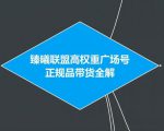 臻曦联盟抖音高权重广场号无人直播正规品带货全解-晟哥学社资源库
