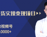 柚子分享课:微信视频号变现攻略,新手零基础轻松日赚千元-晟哥学社资源库