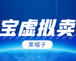 黑帽子淘宝虚拟卖货项目，单店每月收入5000+-晟哥学社资源库