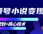 柚子微信视频号小说变现项目，全新玩法零基础也能月入10000+【核心技术】-晟哥学社资源库