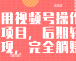视频号操作书单变现项目,后期轻松变现,完全躺赚日入300至500元-晟哥学社资源库