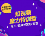 零基础小白进阶到大神《短视频魔力特训营》定位-运营-引流-变现-晟哥学社资源库