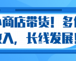 微信小商店带货，爆单多倍收入，长期复利循环！日赚300-800元不等-晟哥学社资源库
