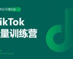 2020最新TikTok流量增长训练营(完结)附PPT-晟哥学社资源库