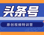 头条号原创视频特训营:一对一带你玩转短视频,新号10天日收益破252元-晟哥学社资源库