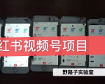 野路子小红书视频号1.0项目,直接上手操作就能赚钱的视频号项目-晟哥学社资源库