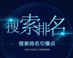 搜索排名引爆点：教你快速掌握各个搜索引擎排名算法，让客户主动找上你的秘笈-晟哥学社资源库