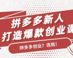 拼多多新人打造爆款创业课:快速引流持续出单,适用于所有新人-晟哥学社资源库