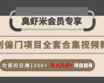 暴利偏门项目全套合集视频教程:你要的日赚1000+月入几万+项目都有-晟哥学社资源库