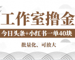 工作室撸金二件套：撸今日头条原创收益+小红书一单利润40块项目-晟哥学社资源库