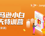 雨课·亚马逊小白特训营第9期 跨境电商挺赚钱的 有朋友已经月入几十万美金-晟哥学社资源库