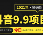 抖音9.9课程项目,没粉丝也能卖课,一天300+粉易变现-晟哥学社资源库