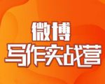 村西边老王·微博超级写作实战营，帮助你粉丝猛涨价值999元-晟哥学社资源库