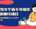 20多个新手可操作的副业赚钱项目：业余时间0基础日入几500+实操分享-晟哥学社资源库
