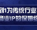 从0到1为传统行业打造抖音商业IP简单高效的保姆级攻略-晟哥学社资源库