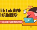 最新Tiktok海外掘金培训课堂:带你玩转Tiktok暴力涨粉轻松变现-晟哥学社资源库