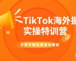 TikTok海外掘金实操特训营：手把手教运营变现赚钱-晟哥学社资源库