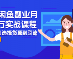 2021闲鱼副业月入过万实战课程：从开店到选择货源到引流，全程实战教学-晟哥学社资源库