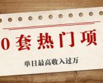 30套热门项目:单日最高收入过万 (网赚项目、朋友圈、涨粉套路、抖音、快手)等-晟哥学社资源库