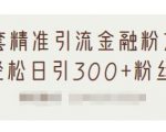 1套精准引流金融粉方法,轻松日引300+粉丝-晟哥学社资源库