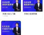 湛北·抖音小店入门进阶高阶合集，八大玩法打造百万店铺-晟哥学社资源库