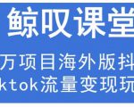 鲸叹号·海外TIKTOK训练营,百万项目海外版抖音tiktok流量变现玩法-晟哥学社资源库