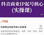 抖音商业IP起号核心实操课,带你玩转算法,流量,内容,架构,变现-晟哥学社资源库