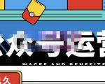 零零已久·从0-1运营公众号，零基础小白也能上手，系统性了解公众号运营-晟哥学社资源库