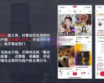 麦子互娱短视频带货·0基础做好物分享账号，无需出镜无需货源无需拍摄-晟哥学社资源库