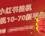 视频号小红书抖音挂机项目,小白无脑操作,按照要求来,单号每天几十米-晟哥学社资源库