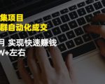 虚拟图集项目：矩阵站群自动化成交，3-5个月实现快速赚钱月入1W+左右-晟哥学社资源库
