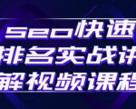 seo快速排名实战讲解视频课程，揭秘seo快排原理-晟哥学社资源库