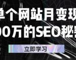 单个网站月变现100万的SEO秘密，百分百做出赚钱站点-晟哥学社资源库