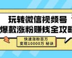 玩转微信视频号爆款涨粉赚钱全攻略,快速涨粉百万变现万元秘诀-晟哥学社资源库