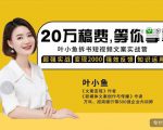 叶小鱼21天短视频文案拆书营，学完轻松搞定各类书单短视频文案-晟哥学社资源库