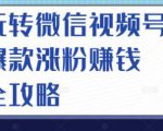 玩转微信视频号爆款涨粉赚钱全攻略，让你快速抓住流量风口，收获红利财富-晟哥学社资源库