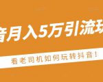 老古董·抖音月入5万引流玩法,看看老司机如何玩转抖音(附赠:抖音另类引流思路)-晟哥学社资源库