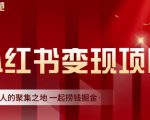 渣圈学苑·小红书虚拟资源变现项目，一起捞钱掘金价值1099元-晟哥学社资源库