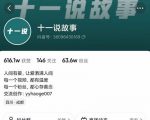 十一说故事·故事性中视频,观众快速共鸣从而快速变现的中视频玩法-晟哥学社资源库