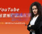 外国人眼中的YouTube该怎么玩？Elisa·YouTube运营推广实战技巧-晟哥学社资源库