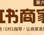 贾真-小红书商家营第6期商家版,21天带货陪跑课,让商家丢掉付流量-晟哥学社资源库