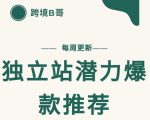 【跨境B哥】独立站潜力爆款选品推荐，测款出单率高达百分之80-晟哥学社资源库