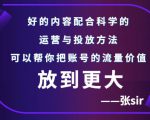 张sir账号流量增长课,告别海王流量,让你的流量更精准-晟哥学社资源库