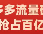 阿杰·拼多多流量破局:如何打黑标，爆款的思路，拼多多流量框架，快速抢占百亿流量-晟哥学社资源库