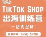 疯人院:TikTok Shop出海训练营（一店卖全球)，出海抢占全球新流量-晟哥学社资源库