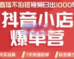 推易电商·2022年抖音小店爆单营,不直播、不拍短视频、日出1000单,暴力玩法-晟哥学社资源库
