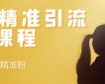 soul精准引流系列课程，每天引流100精准粉-晟哥学社资源库